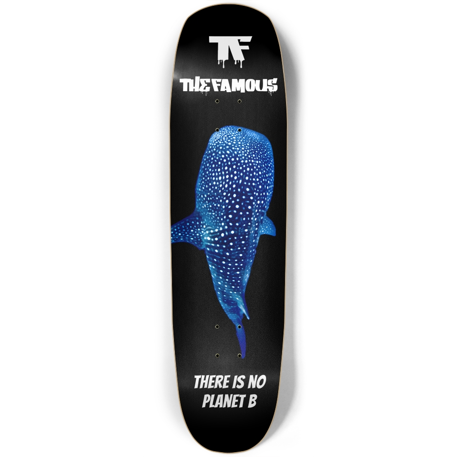 Skate Art Collection - 'There is no Planet B'