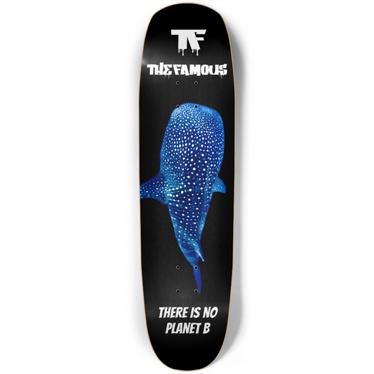 Skate Art Collection - 'There is no Planet B'